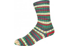 Supersocke 100 Winter Color 3353